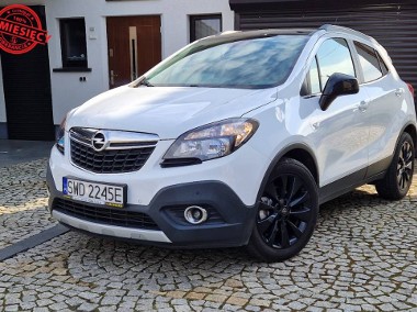 Bezwypadkowy, Serwisowany, Rok Gwarancji-1