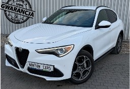 Alfa Romeo Stelvio zarejestrowana w Polsce
