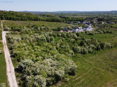 Działka inwest. 37 ar pod zabudowę mieszkaniową jednorodzinną-1