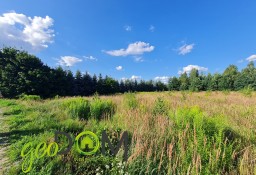 Działka budowlana Niemce, ul. Ignacego Bonawentury Budnego