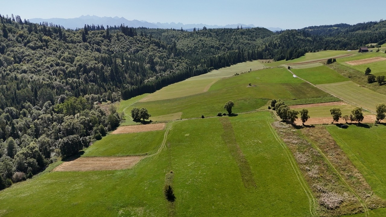 Działka budowlana przy lesie. Blisko VeloCzorsztyn - Widok 4
