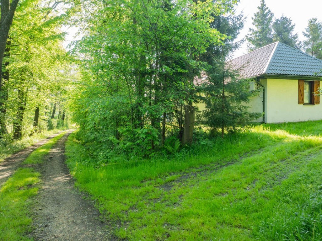 Klimatyczny dom wśród zieleni | 9700 m² | Chronów - Ansicht 4