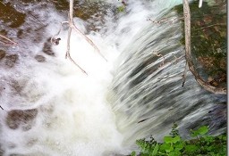 Działka inna Castelo Branco, Castelo Branco