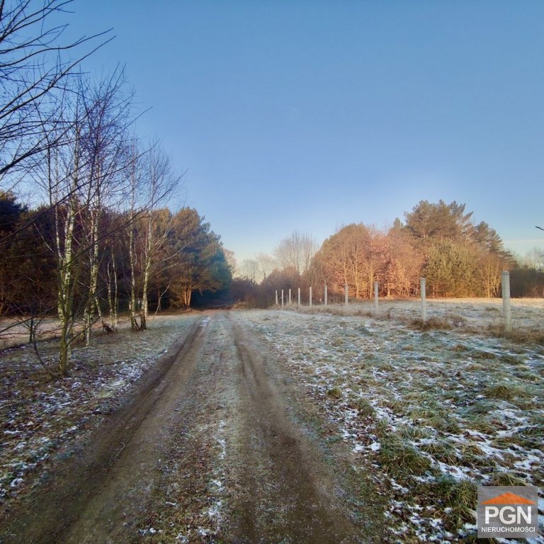Działka z warunkami zabudowy - Widok 2