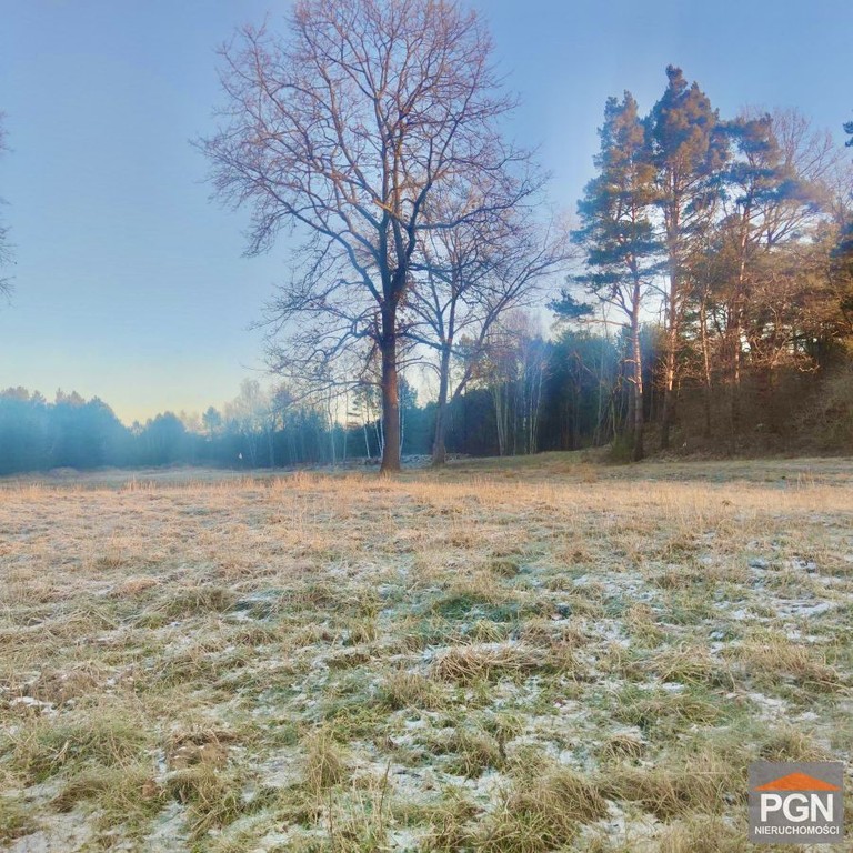 Działka z warunkami zabudowy - Widok 3