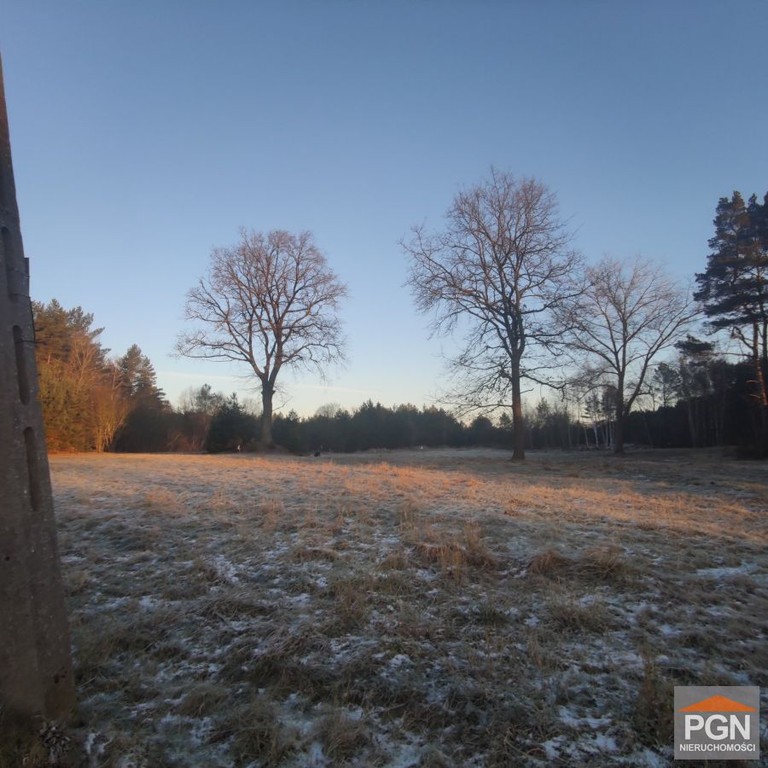 Działka z warunkami zabudowy - Widok 4