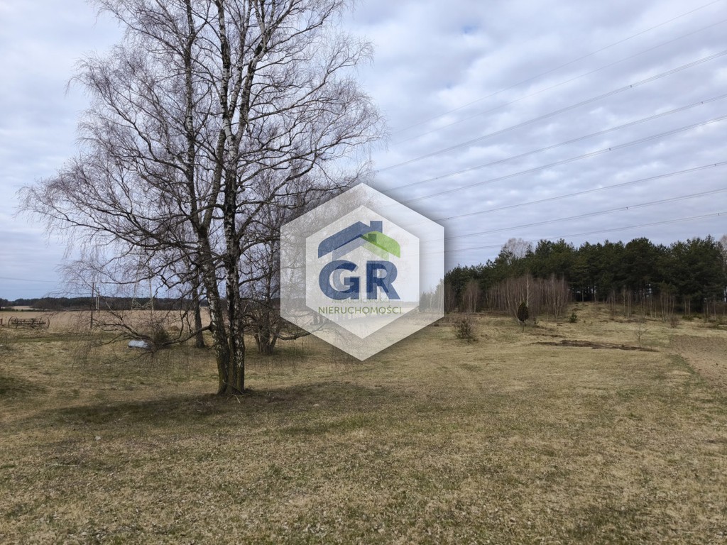 Grunt rolny na sprzedaż | Skorzewo | Kaszuby - Widok 3