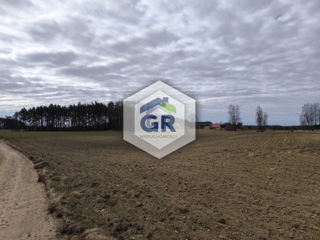 Grunt rolny na sprzedaż | Skorzewo | Kaszuby - Widok 5