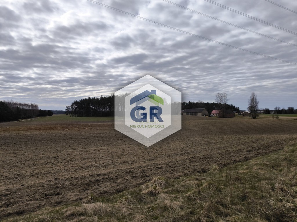 Grunt rolny na sprzedaż | Skorzewo | Kaszuby - Widok 6