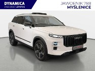 Inna Inny VAT 23% Urban 1.6T-GDI 147KM DCT 2024/2025 r., salon PL, I właścicie