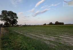 Działka siedliskowa Krosna-Wieś