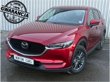 Pierwszy właściciel w Polsce -1