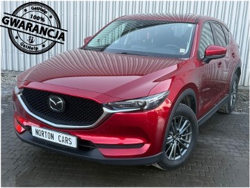 Pierwszy właściciel w Polsce 