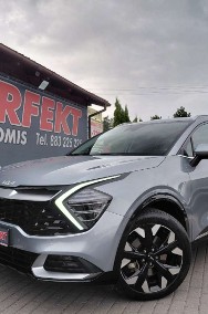 Kia Sportage IV-2