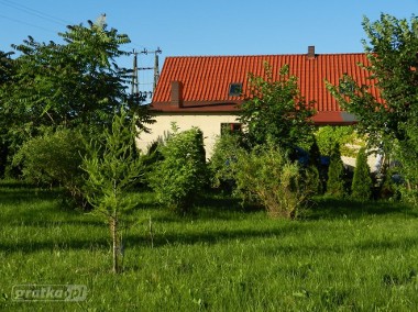 Dom Wierzeja, ul. Sarbska-1