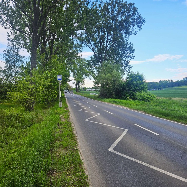 DZIAŁKA USŁUGOWA 25ar OLSZANICKA - Widok 3