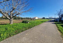 Działka inna Amoreira Da Gândara, Paredes Do Bairro E Ancas