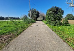 Działka inna Amoreira Da Gândara, Paredes Do Bairro E Ancas