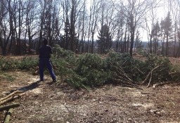 Wycinki drzew i krzewów, przycinki, mielenie rębakiem, pielęgnacja ogrodu, Płock