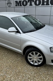 Audi A3 II (8P) 1,6 "Attraction"-2