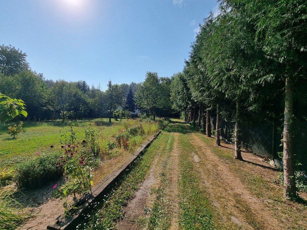 Dom 83 m² | dz. 45 ar | ul. Kłosowskiego obok las - Mehr