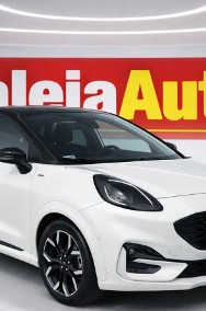 Ford Puma II-2