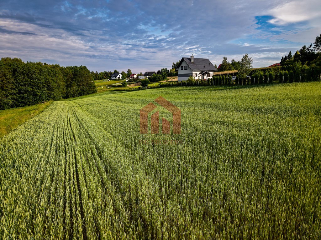 Piękna widokowa działka 1 km. od granic Rzeszowa - Chmielnik - View 4