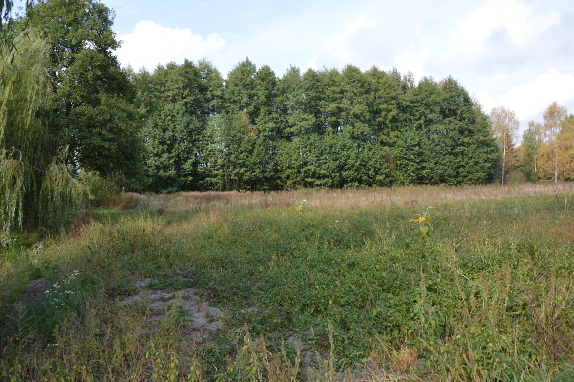 Piękna działka w Parku Krajobrazowym - Widok 2