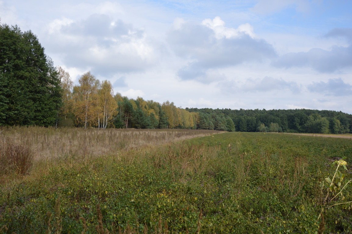 Piękna działka w Parku Krajobrazowym - Widok 3