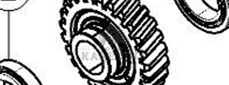 Claas Axion 870 Wałek Przekładni Koło Zębate Przekładni Skrzyni 0011708500 00 1170 850 0-1