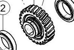 Claas Axion 870 Wałek Przekładni Koło Zębate Przekładni Skrzyni 0011708500 00 1170 850 0