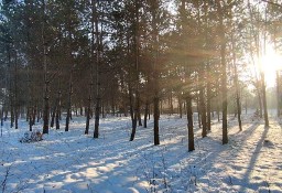 Działka budowlana Zawiercie, ul. Winna