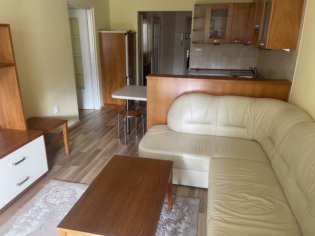 Do sprzedaży mieszkanie 3-pokojowe 48 m² z garażem -Zakopane-ul. Za Cieszynianką – další