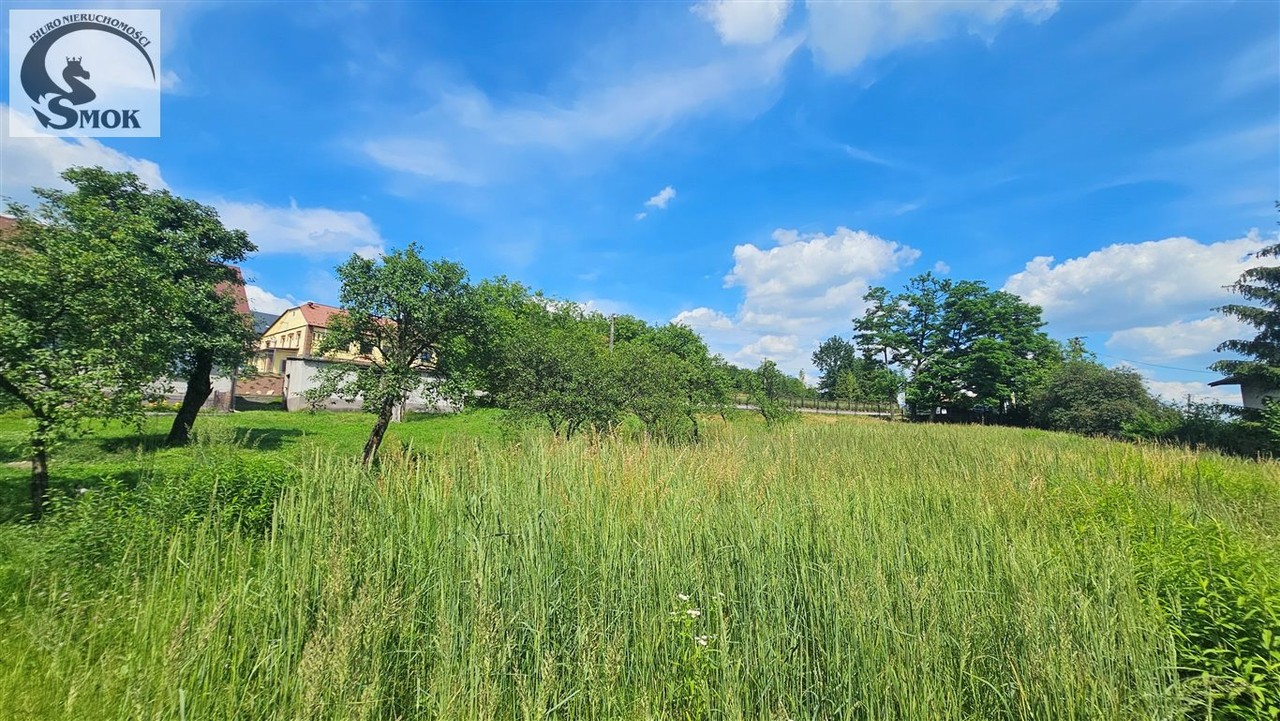 Widokowa działka budowlana, Dąbrowa Szlachecka - Widok 2