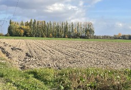 Działka rolna/siedliskowa bezpośrednio