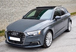 Audi A3 III (8V) Plug in Hybrid eTron