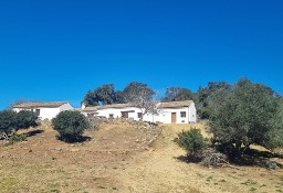 Dom Cádiz, Castellar De La Frontera