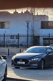 Pierwszy właściciel.-2