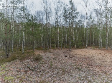 Urokliwa działka leśna w Wesołej (0,53 ha)-1