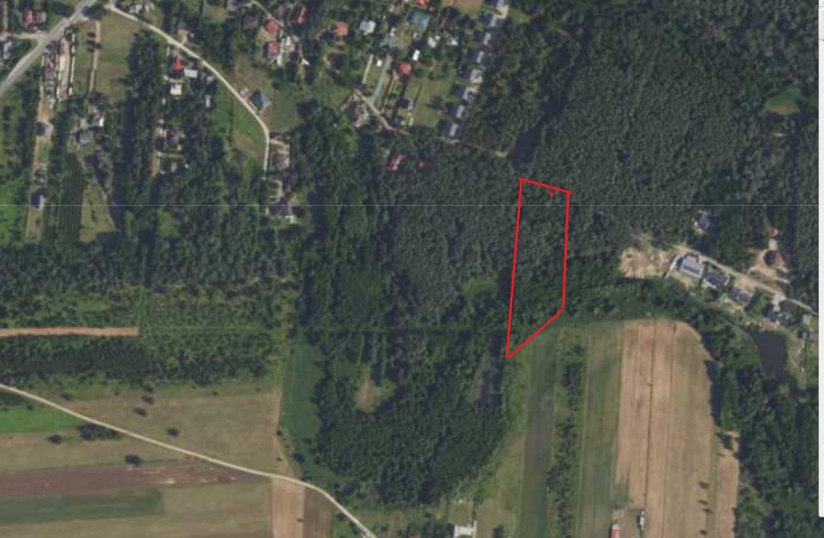 Własny las | MPZP | Media przy działce | Asfaltowy dojazd | 35 km od c - Widok 2