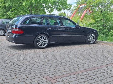 Sprowadzony z Włoch w 2023r