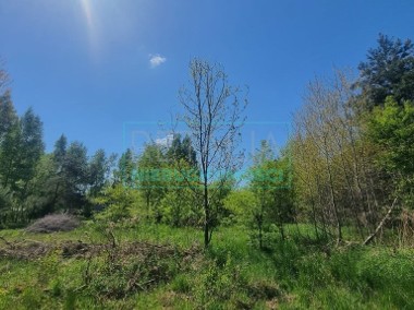 Działka budowlana pod lasem w Kajetanach-1