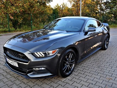 Ford Mustang VI-1