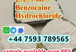 cas  23239-88-5 Benzocaine Hydrochloride competitive price
