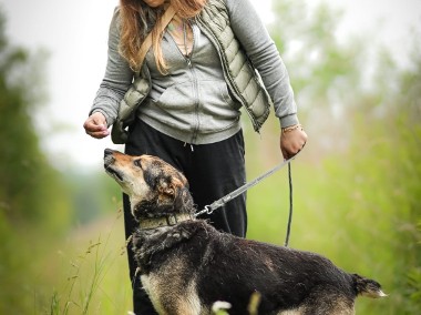 Adoptuj piękną Sarę :)-1