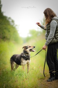 Adoptuj piękną Sarę :)-2