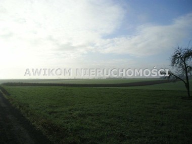 Działka rolno-budowlana Nowy Kawęczyn-1