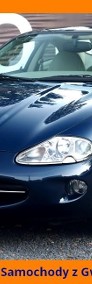 Jaguar XK8 I 4.0 V8 Coupe Bezwypadkowy STAN KOLEKCJONERSKI!-3