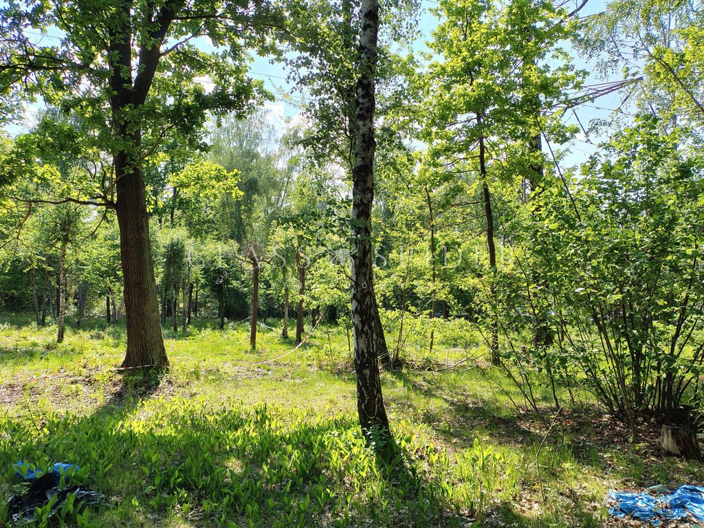 Działka budowlana w cichej, zielonej okolicy - Więcej