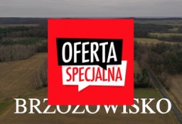 Działka inna Proszkowa